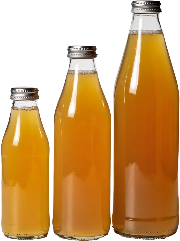 کامبوچا چای ایرانی